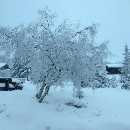 Solstua Kompleks wypoczynkowy Lifjell