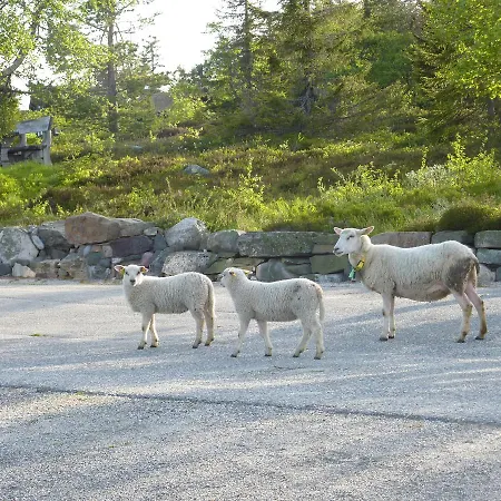 Kompleks wypoczynkowy Solstua Lifjell