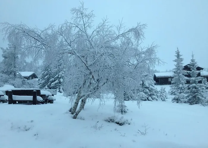 Solstua Aldeamento Turístico Lifjell