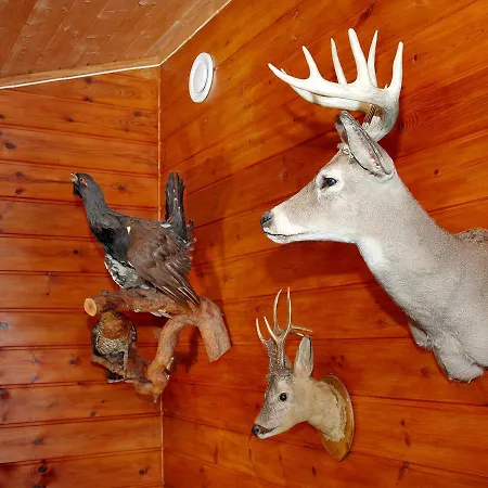 Solstua 假日公园 Lifjell